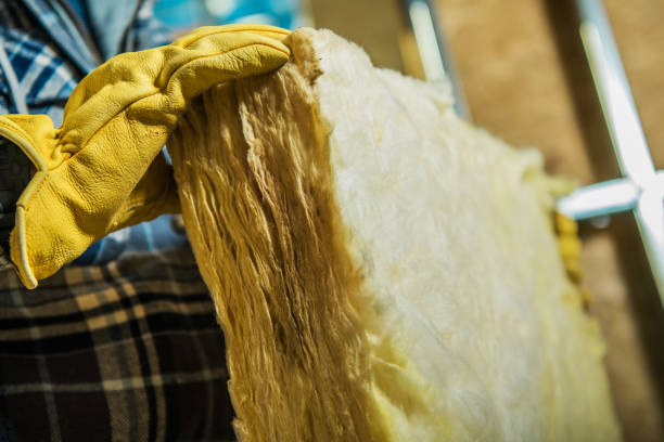 Best Attic Insulation Installation  in Eastland, TX