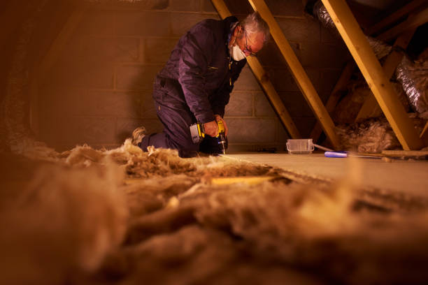 Best Crawl Space Insulation  in Eastland, TX